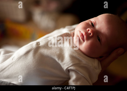 8 settimana di età bambino essendo trattenuta tra le braccia di una donna Foto Stock