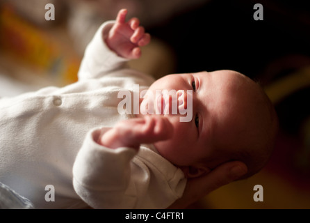 4 settimana di età bambino essendo trattenuto nelle mani di qualcun altro Foto Stock