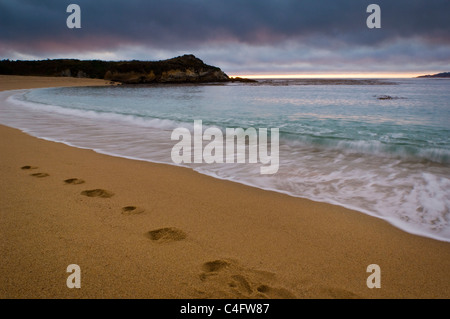 Onde che si infrangono accanto a impronte di sabbia in spiaggia al tramonto, Fiume Carmel membro Beach, California Foto Stock