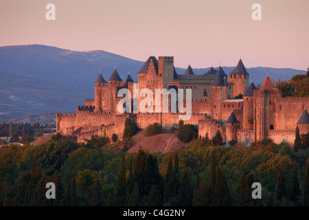 Carcassonne, Aude, Languedoc-Rousillon, Francia Foto Stock