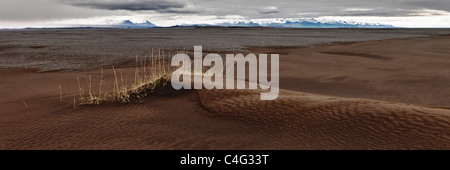 Skeidararsandur dilavamento pianure coperte con nuovo di cenere dal Grimsvotn eruzione vulcanica, Islanda Foto Stock