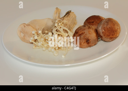 Tre funghi commestibili su una piastra bianca Foto Stock