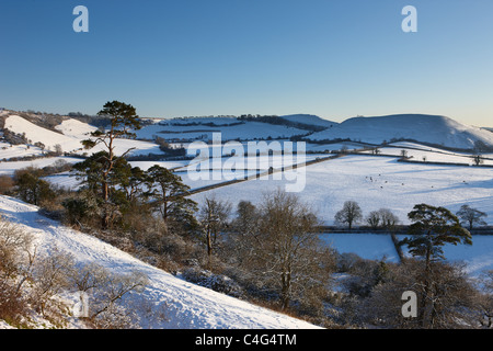 Neve sugli alberi a Castello di Cadbury, Somerset, Inghilterra Foto Stock