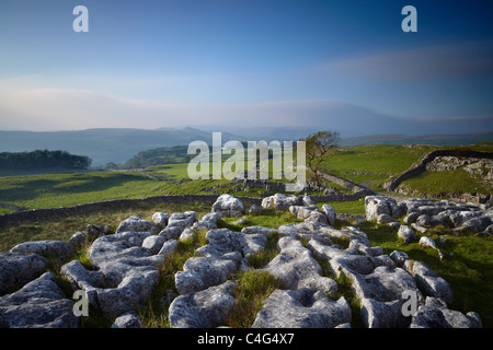 Winskill pietre, Ribblesdale, Yorkshire Dales National Park, England, Regno Unito Foto Stock