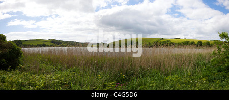 Foto panoramica di Slapton Ley inland laguna vicino Torcross Devon England Regno Unito GB Isole britanniche Foto Stock