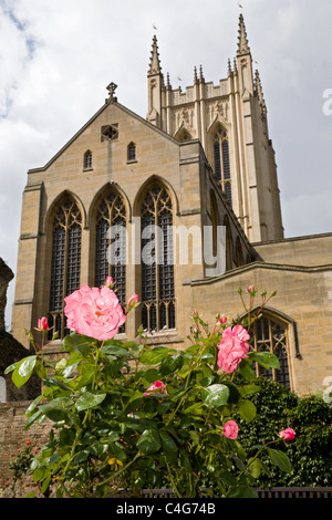 St Edmundsbury Cathedral dall'Abbazia giardino di rose. Bury St Edmunds, Suffolk, Inghilterra, Regno Unito. Foto Stock