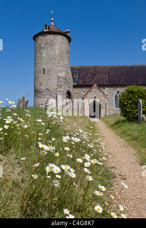 Il percorso con occhio di bue margherite che portano a St Andrews chiesa, poco russamento, Norfolk, Inghilterra, Regno Unito. Foto Stock