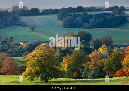 Minterne Magna, Dorset, Inghilterra Foto Stock