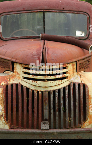 Vecchio arrugginito CARRELLO IN UN CAMPO DI BDB Foto Stock