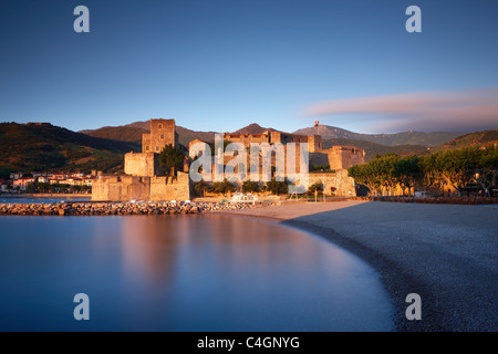 Collioure all'alba, Cote Vermeille, Pirenei Orientales Languedoc-Rousillon, Francia Foto Stock
