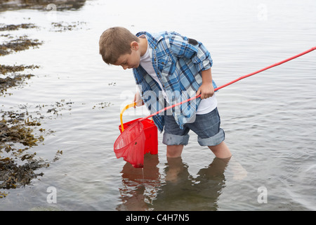 Ragazzo di gusci di raccolta Foto Stock