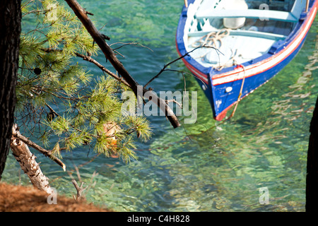 Piccola barca in acqua chiara di Agnontas, Skopelos Island, Sporadi settentrionali, Grecia Foto Stock