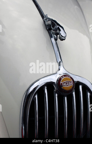 Un predisposto mascotte cofano ornamento di una vecchia auto Jaguar Foto Stock