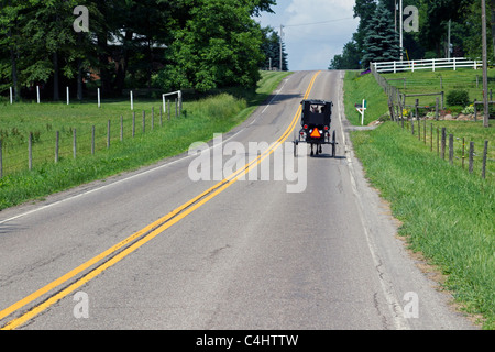 Buggy dei Amish Foto Stock