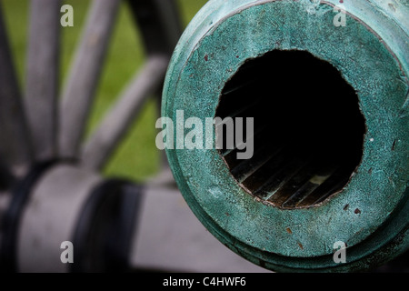 La canna di un cannone Foto Stock