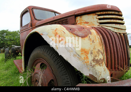 Vecchio arrugginito CARRELLO IN UN CAMPO DI BDB Foto Stock