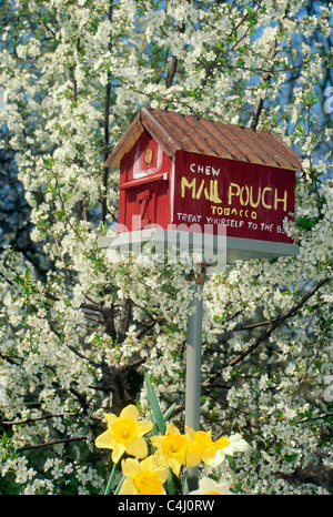 Handmade red barn birdhouse painted as a tobacco barn on roadside stand in a tree of blooming pear in spring Foto Stock