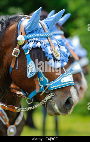 Decorate testa di cavallo in Baviera, Germania Foto Stock