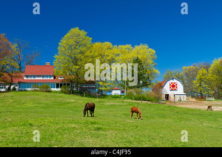 Un ranch a casa con fienile e il pascolo dei cavalli al pascolo sulla Vecchia Penisola di missione, Michigan, Stati Uniti d'America. Foto Stock