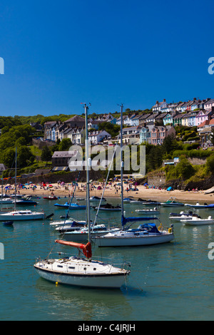 New Quay, Cardigan Bay, Cardigan, Wales, Regno Unito. Foto Stock