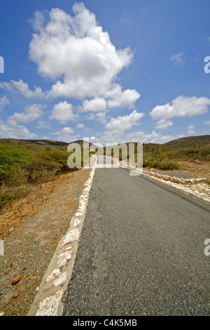 Viaggiando su una strada pavimentata all'interno del Parco Nazionale di Arikok di Aruba Foto Stock