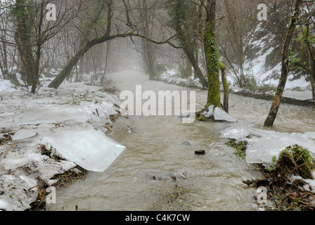 Il fiume Wyre nel bosco in prossimità di Llanrhystud, Walesafter il diluvio e scongelare con ghiaccio rotto i fogli di rivestimento del fiume, 2011. Foto Stock