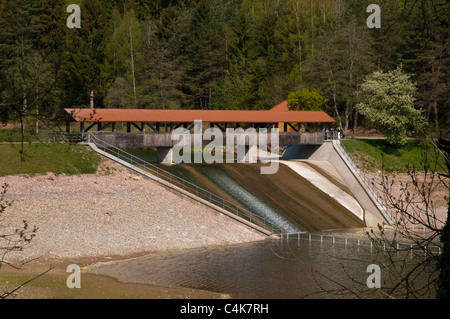 Nagold dam, Foresta Nera, Baden-Wuerttemberg, Germania, Europa Foto Stock