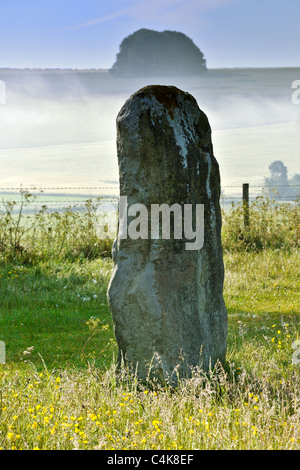 Avebury Sarsen Stone nella nebbia di laminazione Foto Stock