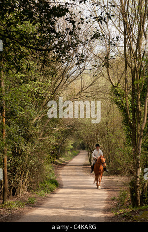 Uomo a cavallo su una tranquilla strada di campagna sotto il sole Foto Stock