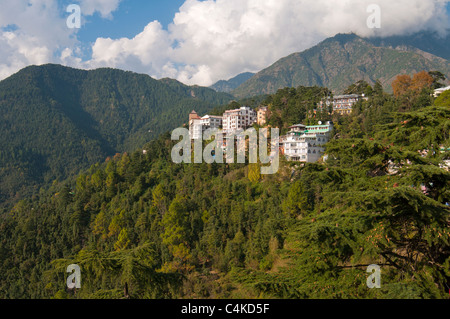 McLeod Ganj, Superiore Dharamsala, Himachal Pradesh, India, Asia Foto Stock