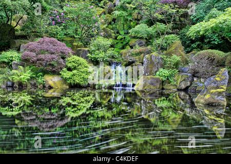 La cascata e riflessione a Portland giardino giapponese in primavera Foto Stock
