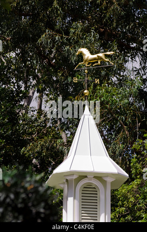 Banderuola in Golden Horse forma Foto Stock