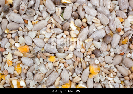 Bird mix di semi di girasole;; corn ecc.; Foto Stock