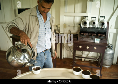 Degustazione di caffè a Finca Lerida piantagione e di Hotel (Panama) Foto Stock