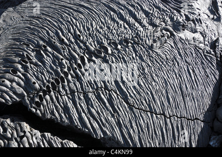 La lava pahoehoe campo sull'isola di Santiago, Galapagos, nasconde splendide formazioni di lava. Cavo-pattern o corda-flusso di configurazione. Foto Stock