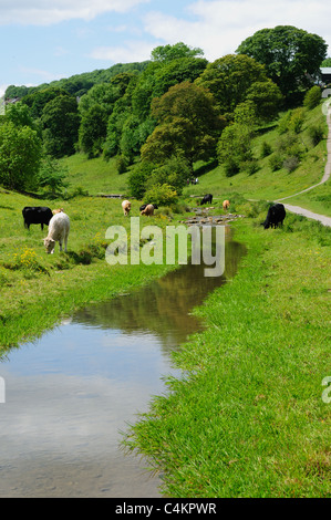 Youlgrave Bradford Dale Derbyshire Peak District National Park. Foto Stock
