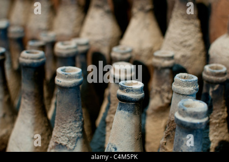 Vecchie bottiglie di sherry di Jerez de la frontera Foto Stock