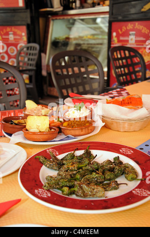 Selezione di tapas vegetariani in un centro di Tapas Bar, Malaga, Costa del Sol, provincia di Malaga, Andalusia, l'Europa. Foto Stock