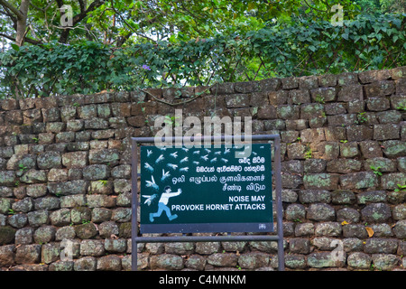 "Rumore può provocare attacchi di calabroni' firmare in Sigiriya, Sri Lanka, Asia Foto Stock