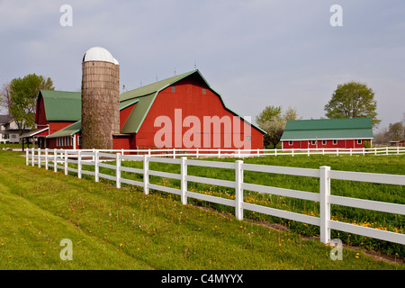 Un caseificio rosso fienile con recinto bianco in Middlebury, Indiana, Stati Uniti d'America. Foto Stock