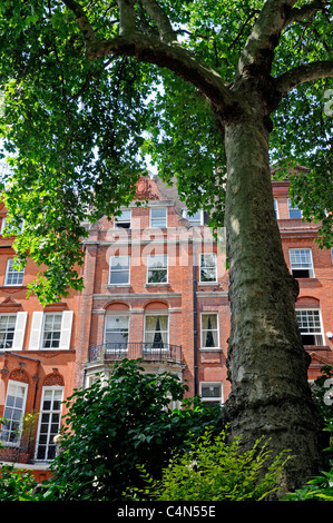 Casa visto dalla piazza di Cadogan Gardens Kensington e Chelsea London SW1 England Regno Unito Foto Stock