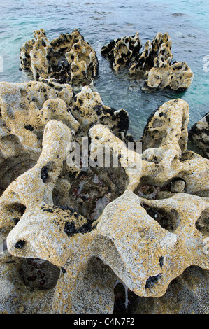 Pietra calcarea erosa lungo la costa di Inisheer, Isole Aran, Irlanda Foto Stock