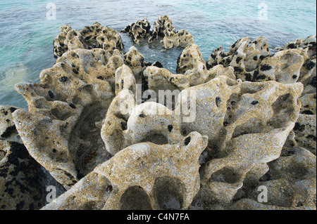 Pietra calcarea erosa lungo la costa di Inisheer, Isole Aran, Irlanda Foto Stock