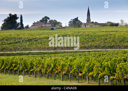 Vite il trattore al lavoro durante il periodo di vendemmia vendange in vigna a St Emilion, Bordeaux Regione del Vino della Francia Foto Stock