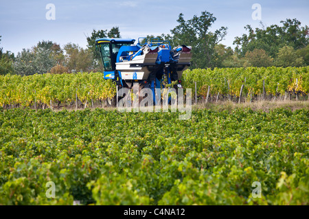 Vite il trattore al lavoro durante il periodo di vendemmia vendange in vigna a St Emilion, Bordeaux Regione del Vino della Francia Foto Stock