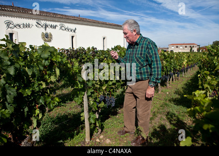 Patron Gerard Becot a Chateau Beau-Sejour Becot, St Emilion nella regione dei vini di Bordeaux di Francia Foto Stock