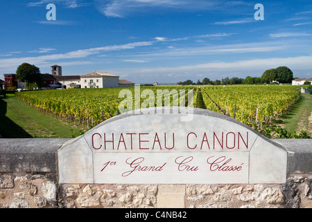 Vigneti a Chateau Canon 1er Grand Cru Classe, St Emilion nella regione dei vini di Bordeaux di Francia Foto Stock