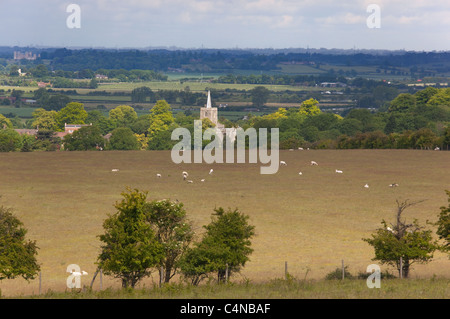 Pecore e chiesa Ivinghoe Chilterns Buckinghamshire Foto Stock