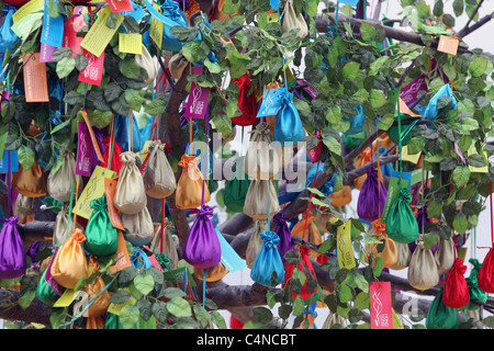 Fortune sacchi appesi da un wishing tree all annuale dragon boat festival presso il Royal Albert Docks di Londra Giugno 2011 Foto Stock
