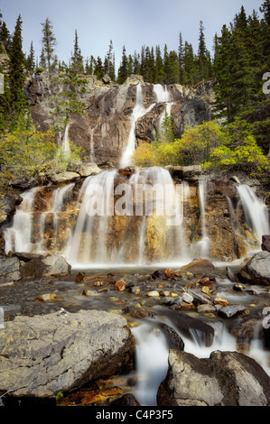 Groviglio scende lungo la Icefields Parkway, Jasper National Park, Alberta, Canada Foto Stock